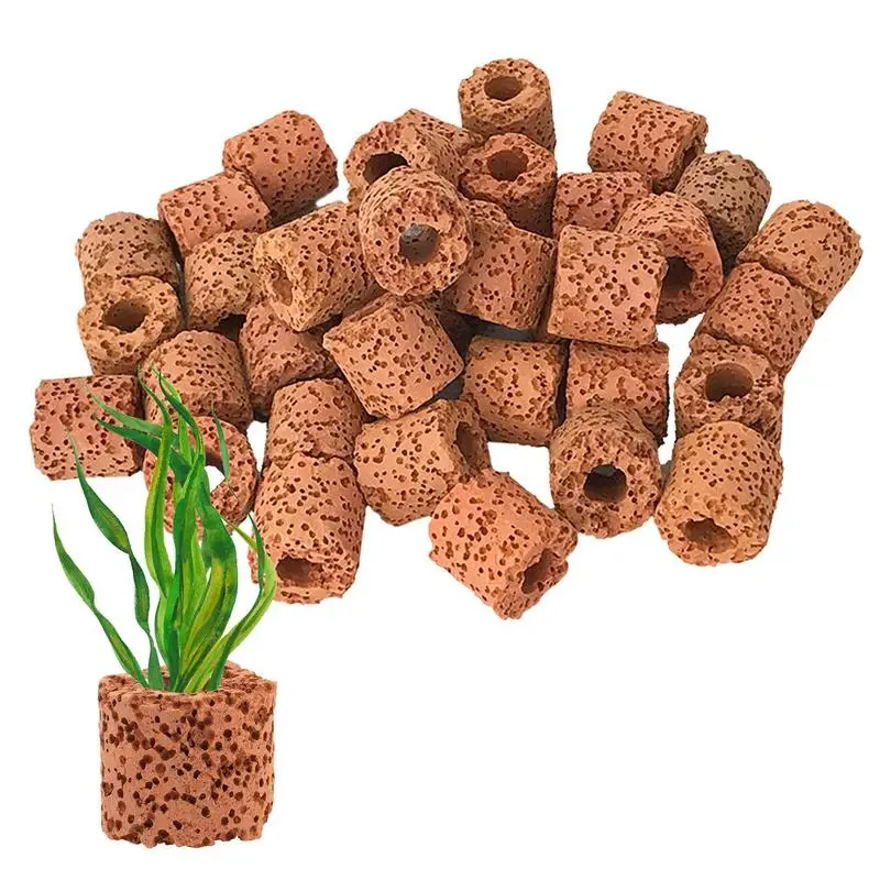 

80 шт., фиксированный держатель для растений в аквариуме