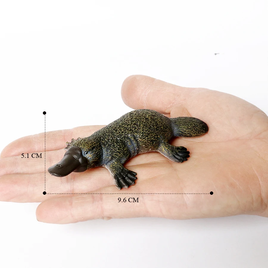 Realistische australische Tierfiguren zum Wildtieren, Emu Koala, Schnabeltier, Känguru, Echidna, Tasmaniandevil, Wald, Modellfiguren, Spielzeug – Detail 14