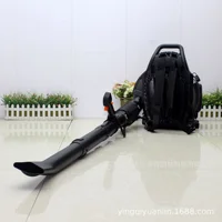 Fiber Snow Blower EB650 Two Stroke 1E48FP Engine Backpack Leaf Blower Garden Power Tools 63.3cc Portable Gasoline Air Blower 2