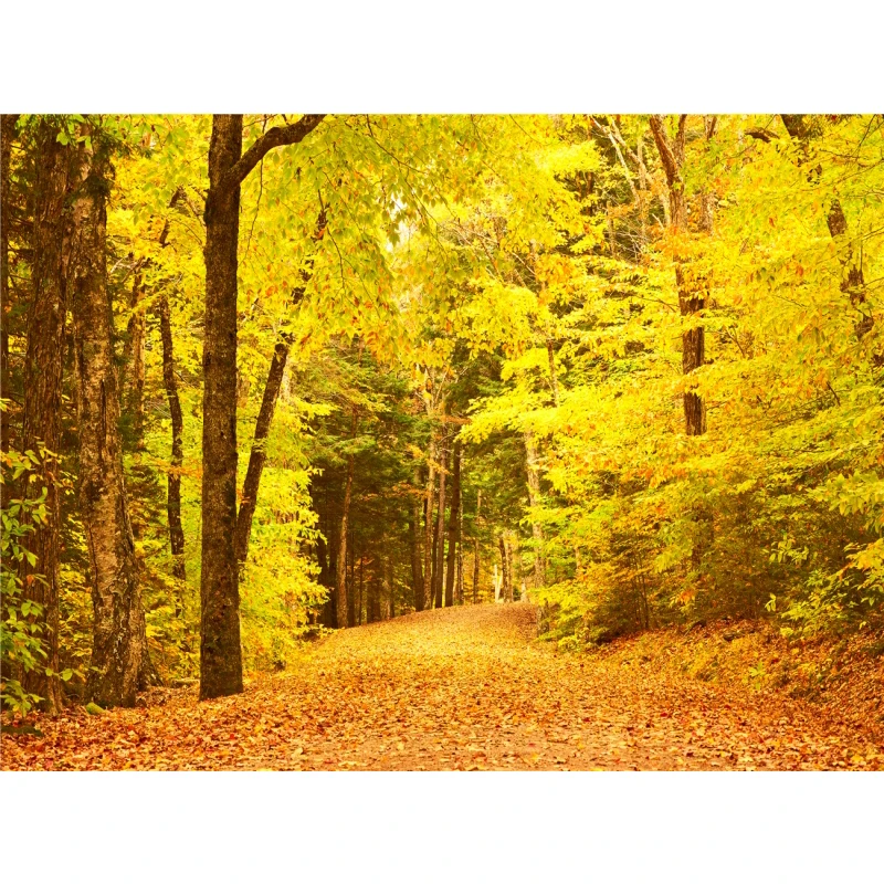 thumbnail image 1 of Póster de lienzo con decoración de otoño, hojas amarillas, vista de otoño, arte de pared, impresión, pintura de puente, imagen de Halloween, decoración del hogar para sala de estar, 1 of 5