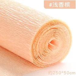 Colored Crepe Paper Roll for DIY Crafts and Gift Wrapping (50x250cm) (Light champagne)