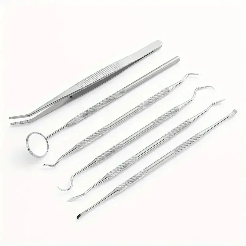 Stainless Steel Dental Care Kit 4