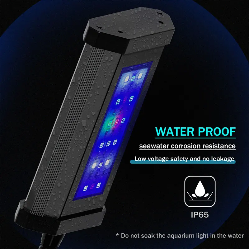 Lominie LED  , Ǯ Ʈ,    , ٴ幰 ȣ  , 2 ä