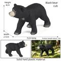 Black Bear Cub A