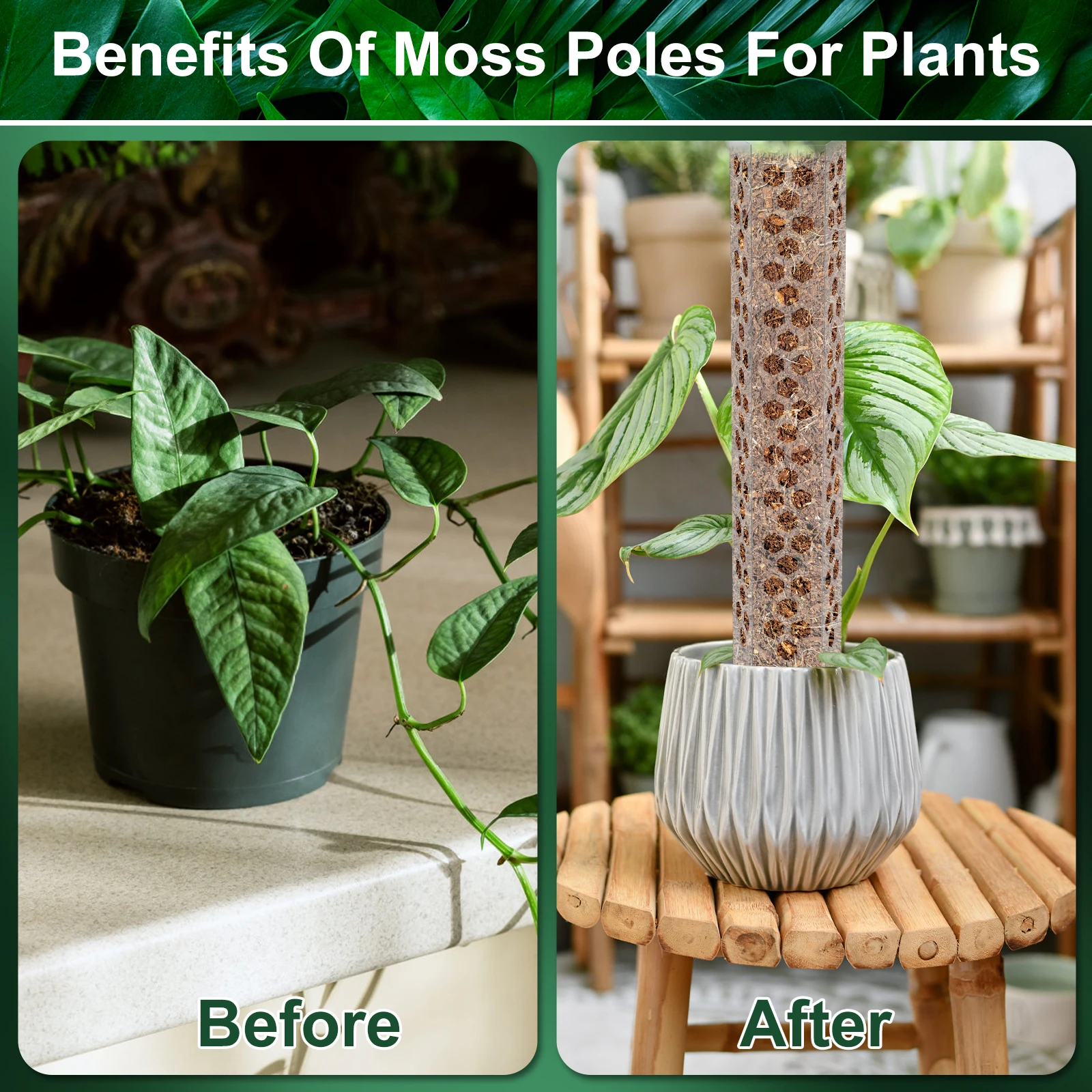 Plastic Plant Supports 4Pcs Moss Pole 15.7 Inch Reusable Plastic Plant Pole Stick Transparent Plant Support Weather Resistant Moss Stick for Garden