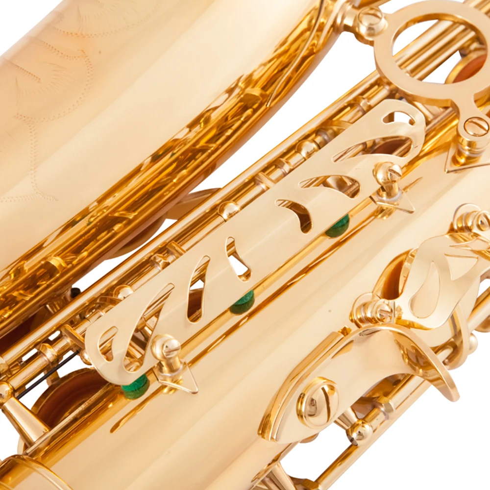 Eb Alto Saxophone - Gold Lacquer, Case & Accessories