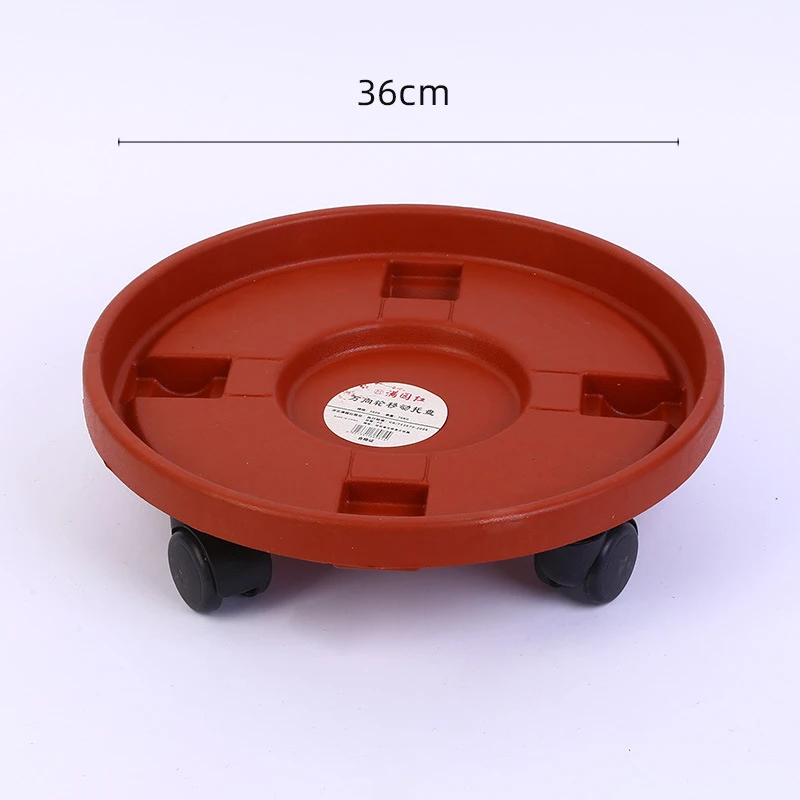36cm