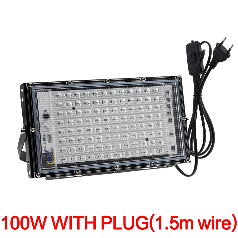 100w with plug