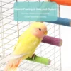 4/6/8 Step Bird Climbing Ladder Pet Interactive Ladder Parrot Grinding Claws and Teeth Climbing Toy Interactive Bird Accessories 3