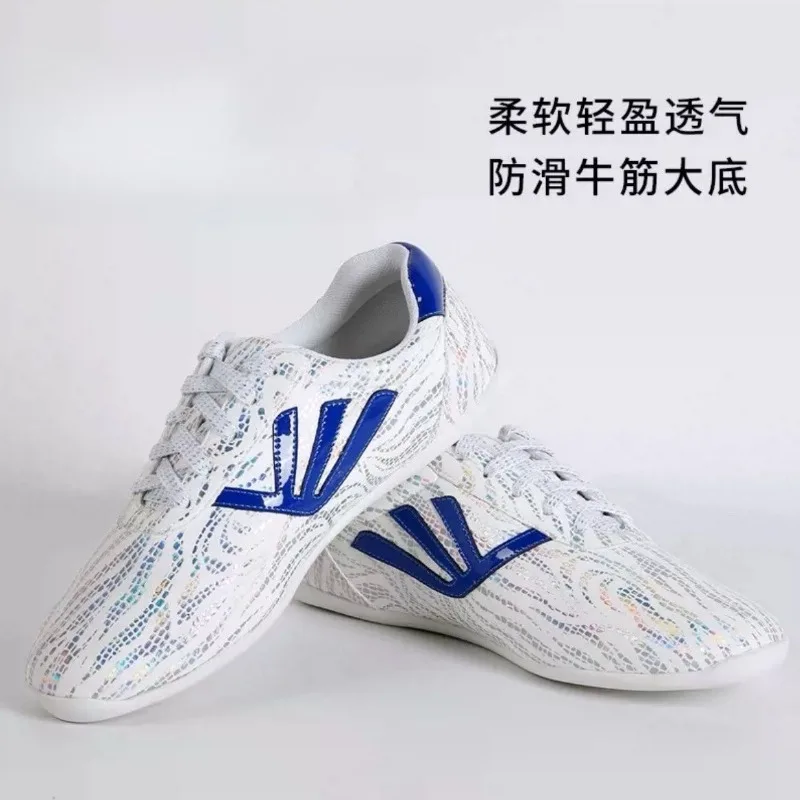 Non-slip Men's and Women's Martial Arts Shoes Performance Training Sports Shoes Competition Special Wear-resistant Tai Chi