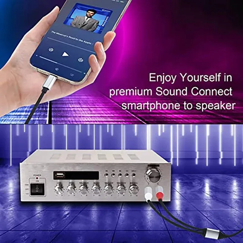 High-Quality Type-C to Dual Channel Amplifier Audio Cable