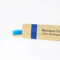 10Pcs Blue