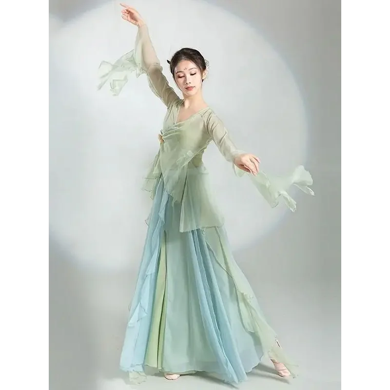 Chinese Classical Dance Dress Flowing Chinese Style Half Skirt Chiffon National Style Stage Performance Costume