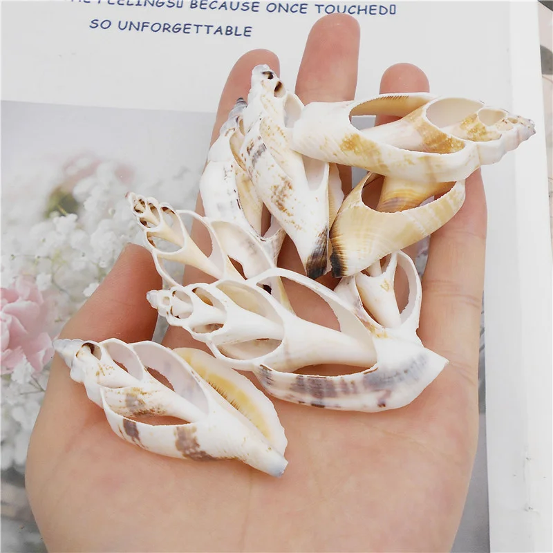 

Julie Wang 2 шт. натуральный раковины полые ломтики очаровательные морские пляжные аквариумные украшения ручной работы аксессуары для изготовления ювелирных изделий