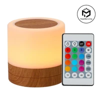 13 Color Remote Control Night Light USB Rechargeable Touch Lamp Portable Bedside Table Night Lamp Dimmable Desk Lamp Baby Kids 1