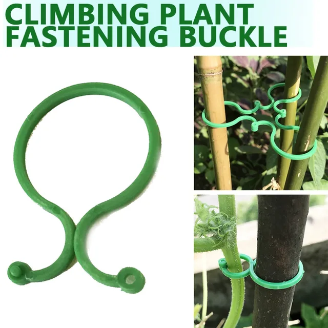 50 db Növényi Tartó Klipek Kötések A Mászáshoz Növény Rögzítő Csat Kerti Állvány Szerszám Szőlő Támogató