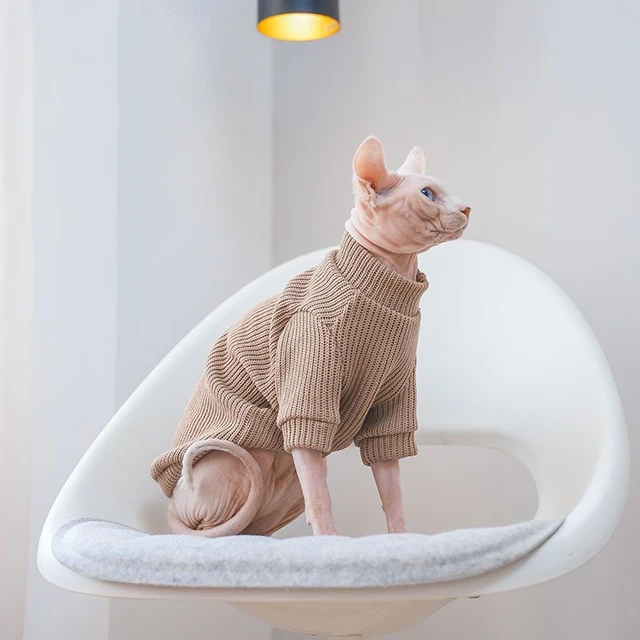 Coffee Cotton Sweater for Cat 2-legged Winter Coat for Sphynx Warm Sweatshirt for Kittens Soft Loungewear for Devon Rex 5