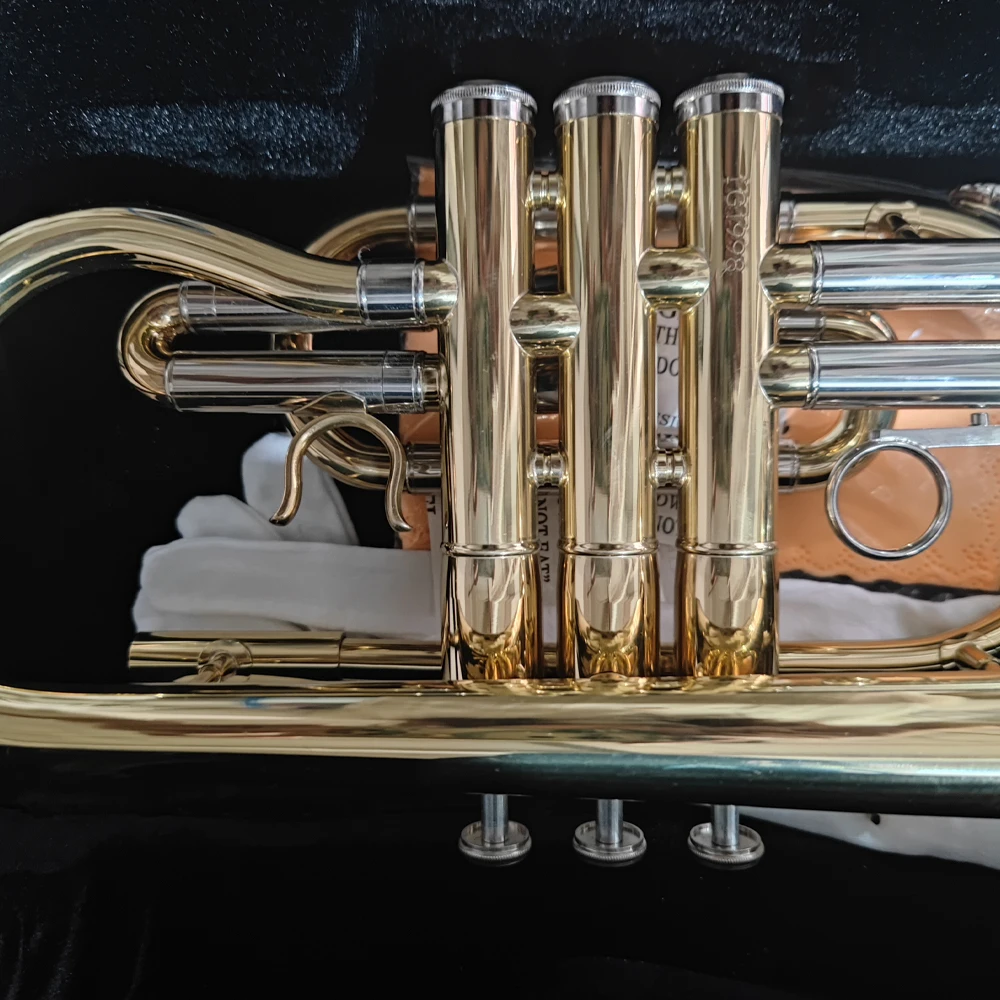 Cornet E100 Alto Trumpet Lacquered Gold Brass Jazz Instrument with Accessory Case