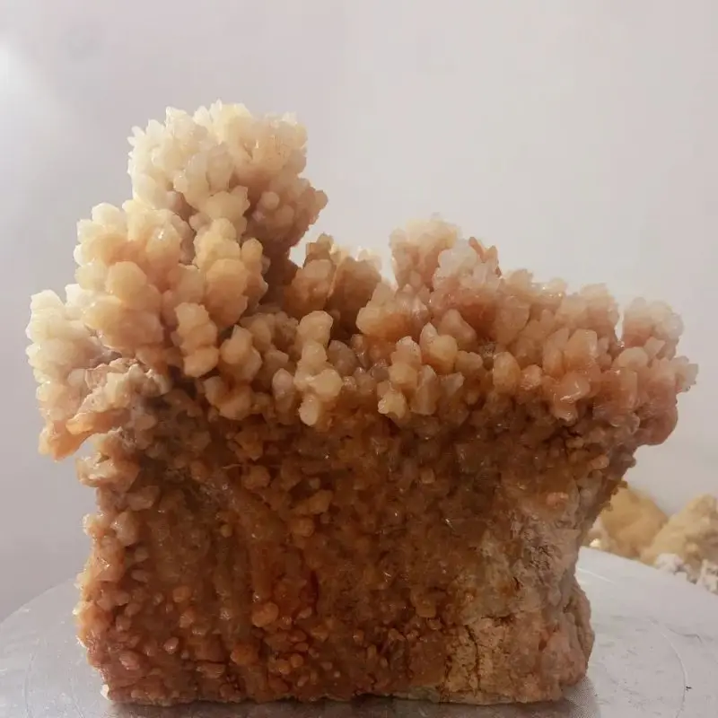 1Pcs Nature Stone Karst Cave Stalactite Raw Stone Ornaments Natural Stone Ornamental Stone Small Boutique Random Delivery