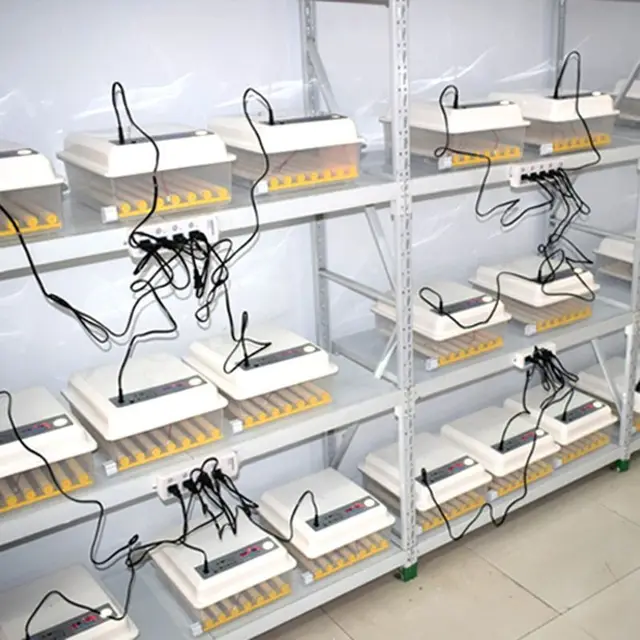 자신의 농장에서 알에서 병아리까지 새 생명을 키우는 즐거움을 경험하세요.