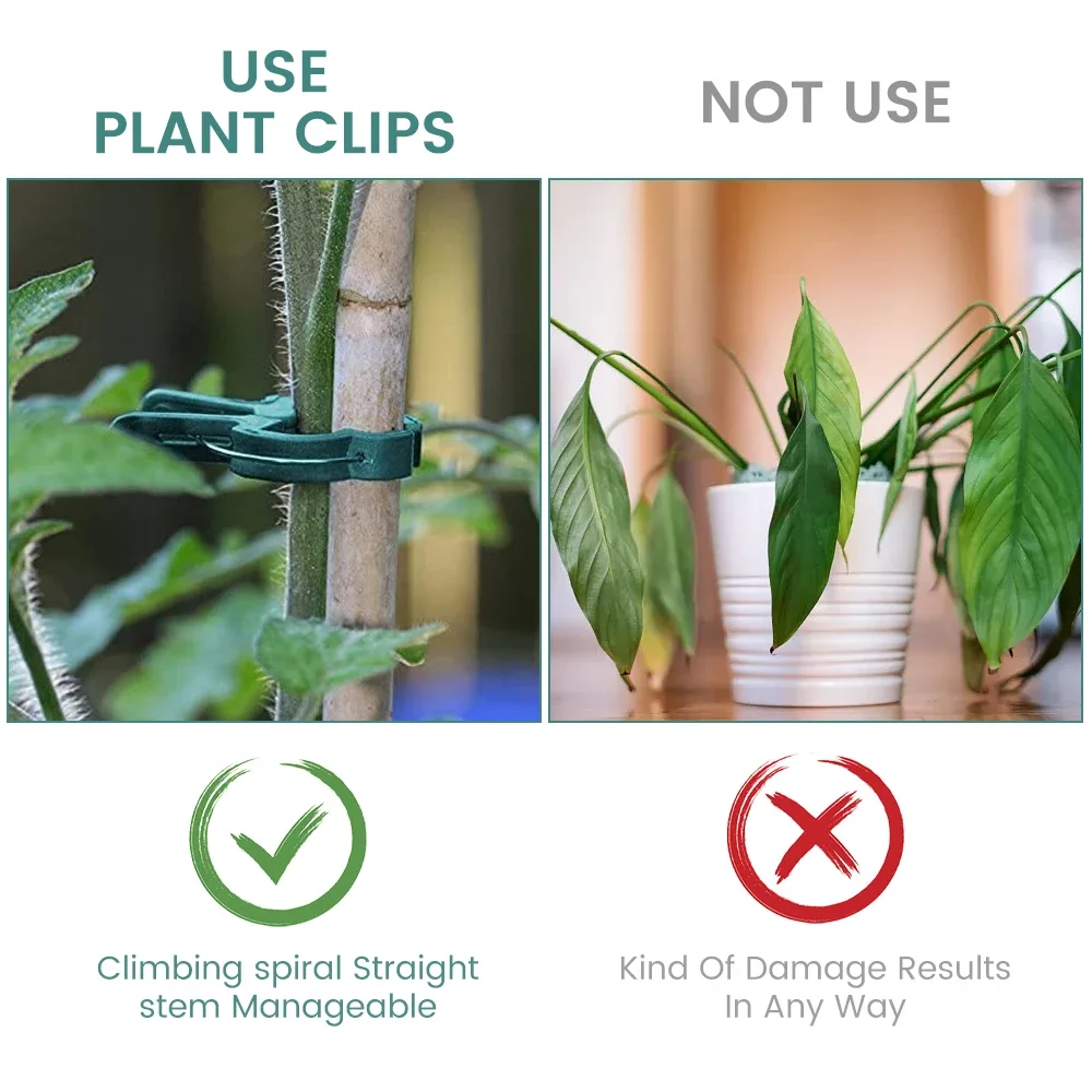 Plant Fixed Clips Reusable Greenhouse Bracket forFixing Stems of Flower Vine Vegetables Tomatoes Fastener Garden Supplies
