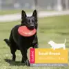 KONG - Flyer - Durable Rubber Flying Disc Dog Toy 4