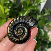 1pc Gold Obsidian Carving, Conch, Crystal Carving, Spiritual Symbol, Healing Crystal, Crystal Collection, Gift, Home Decor 2