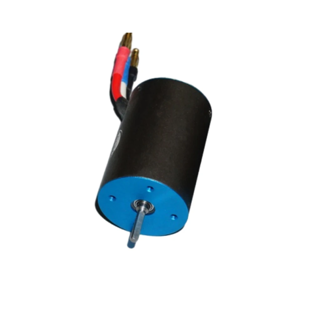 Connecteurs et câbles du moteur brushless 3656 3000KV, prêt pour installation dans un avion RC.