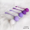 Silicone Cherry Ben Wa Weight Set of 5PCS Kegel Ball Kegel Exercise Weight Bladder Control Device & Pelvic Floor Muscle Training 6