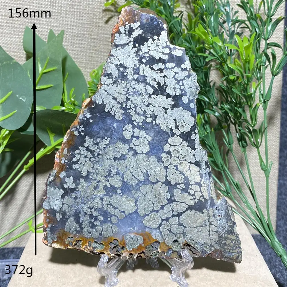 Natural Crystal Slab Maecasite Agate Stones Section Gemstone Meditation Room Home Decoration Geode Witchcraft Feng Shui +Stand 4