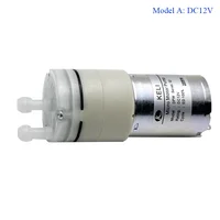 ปั๊มน้ำ DC12V ขนาดเล็ก/24V ปั๊มน้ำไดอะแฟรมไหลขนาดใหญ่ปั๊มน้ำด้วยตัวเองเครื่องจ่ายแบบ DIY ปั๊มน้ำชา 1