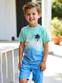 Boys Tee Shirt and Short Set 1