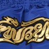 Muay Thai Shorts 2025 Thai Boxing Shorts Women Men Child Embroidery Kickboxing Training Pants Sanda Martial Arts Fight Equipment