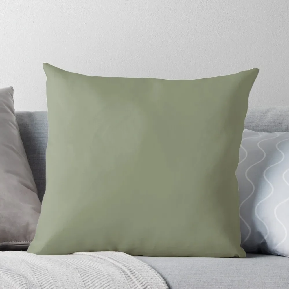 

Sage Throw Pillow Cushion Child Pillow Cases Cushion Covers For Living Room luxury home accessories