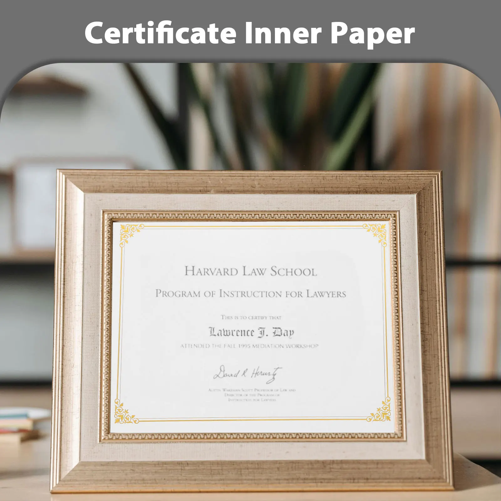 10개 금박 증명서 용지 A4 빈 졸업장 인쇄 가능 상장 졸업 증명서 내지 학교 인정서