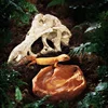 Dinosaur Skull Reptile Pet Hideout Snake Hideout Lizard Basking Platform Reptile Pet Terrarium Aquascape 3