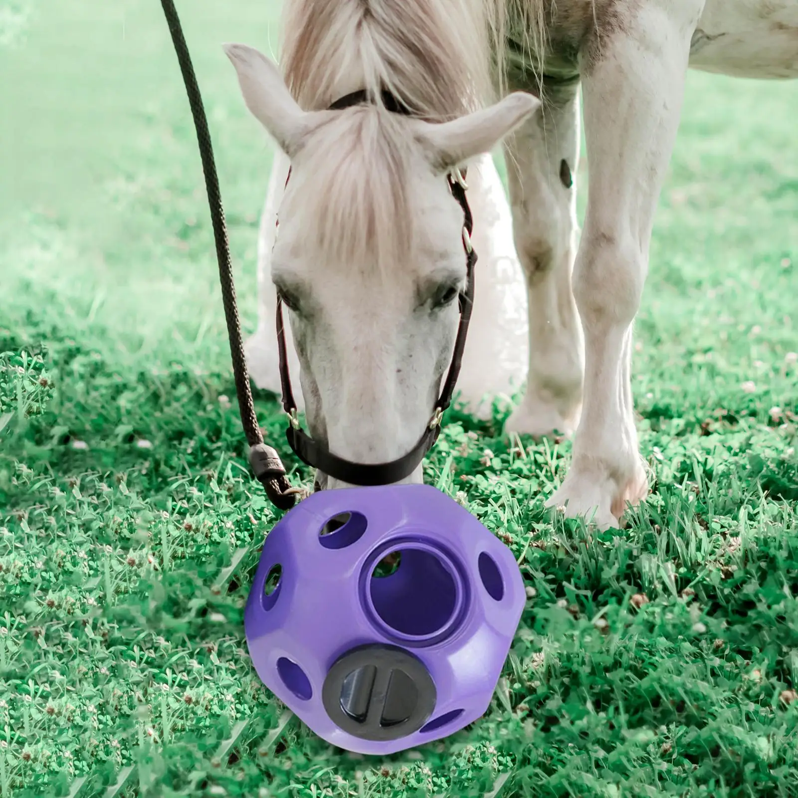 Fun Horse Treat Ball Hay Feeder Toy Ball Horse Feeder Ball Horse Feeding Toys Hollow Treat Feeder for Horse Stable Stall