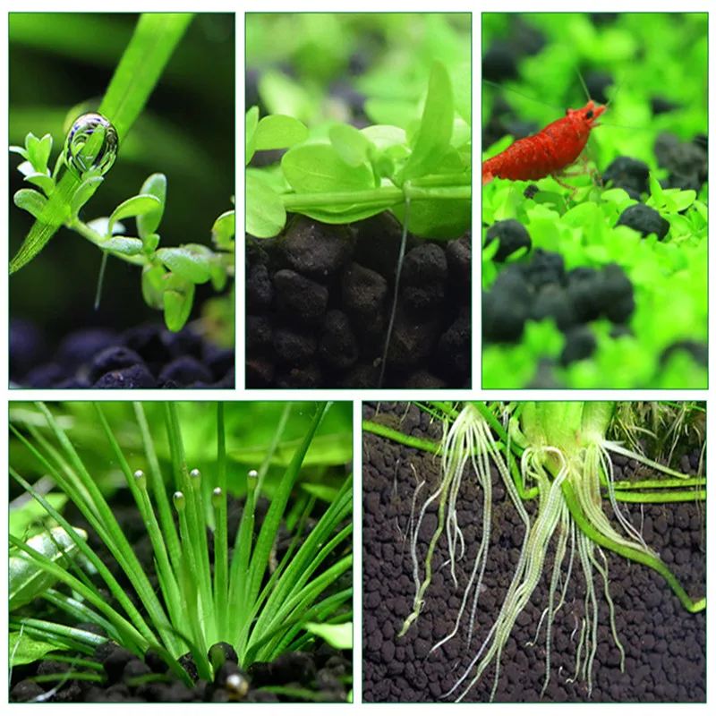 Fish Tank Water Plant Fertility Substrate Aquarium Plant Soil Substrate Gravel for Fish Tank Grass Weed Landscaping Decoration aquarium substrate
