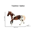 Trakehner 1