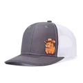 Capybara gray white