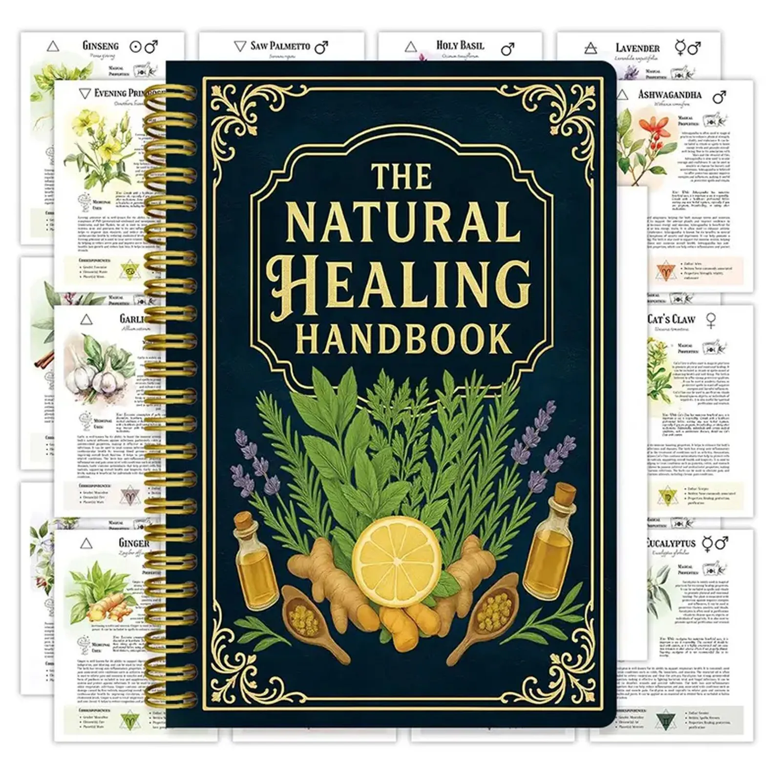 Natural Healing Handbook Guide 1