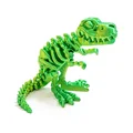 Tyrannosaurus rex-H