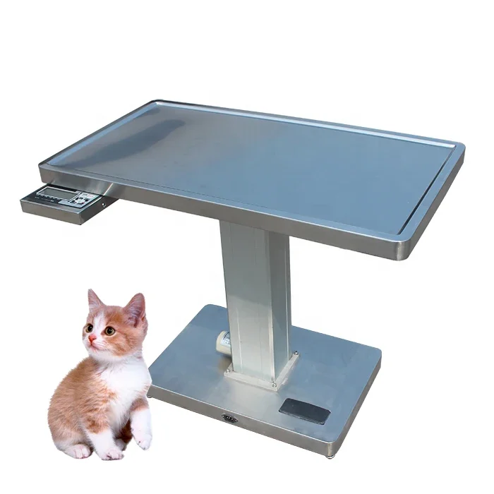 

Animal Surgery Table Vet Veterinary Pet Multifunctional Electric Weighing Scale Treatment Table Price