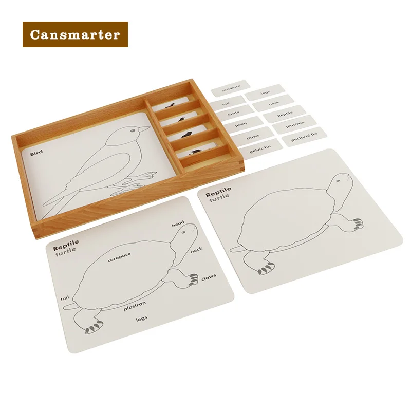 Botany Puzzle Activity Set Montessori Materials Educational Toy Plants Animals Card Boxes Beech Wooden Toys Games for Children multi functional pen pencil holder office desk stationery organizer wooden storage boxes card holder valentine s day gift