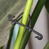 50/200/300Pcs Plant Vine Binding Clip Garden Plants Fixed Clip Buckles Tomato Vegetable Grape Support Vine Clip Fixed Plant Clip 3