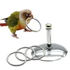 Bird Parrots Interactive Training Toys Intelligence Development Stacking Metal Ring Training Sets Birds Supplies Pet Accessories 2