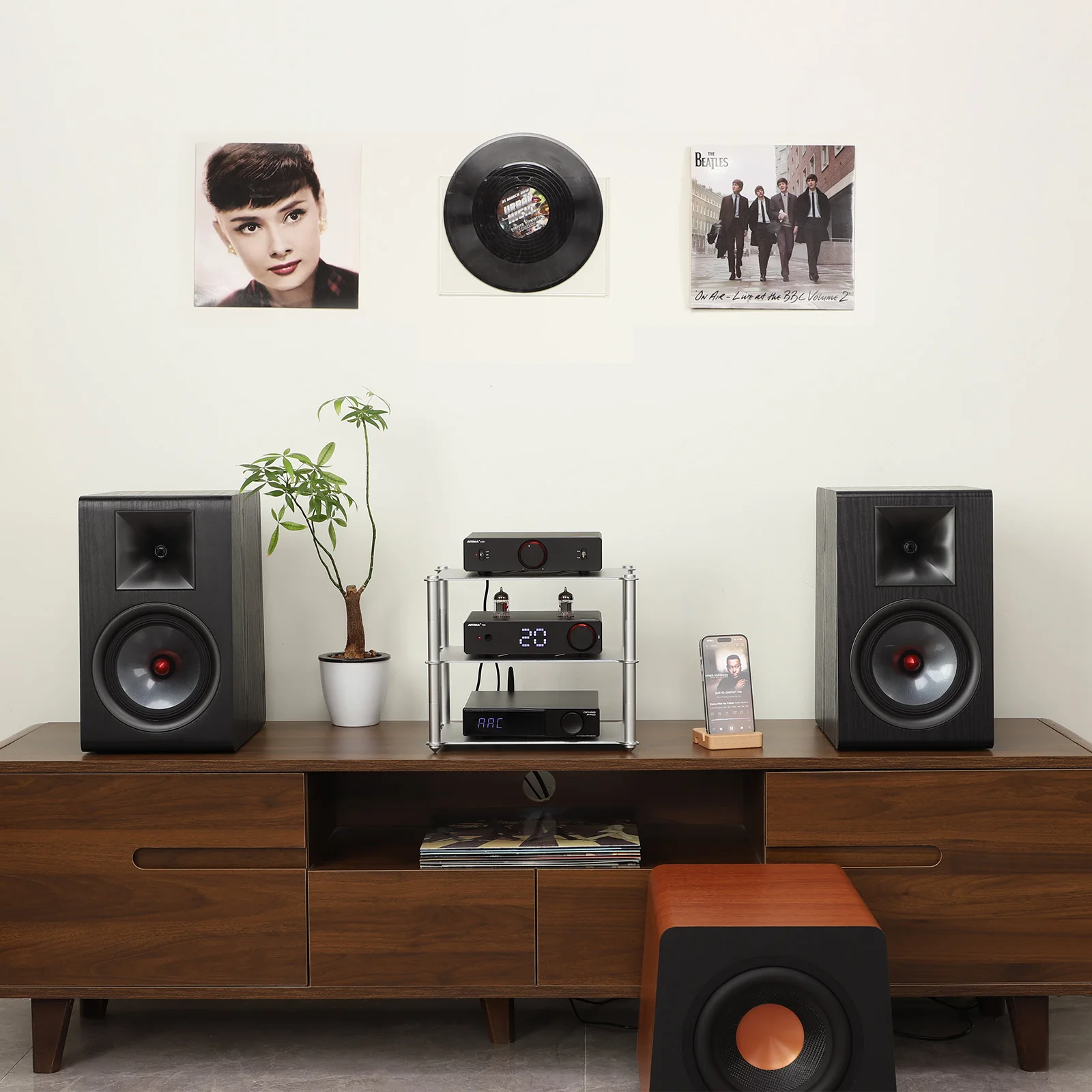 AYIMA T20 真空管プリアンプ Exploring the capabilities of the new AIYIMA T20 fully