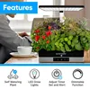 Indoor Hydroponic System with 4000K Grow Lights