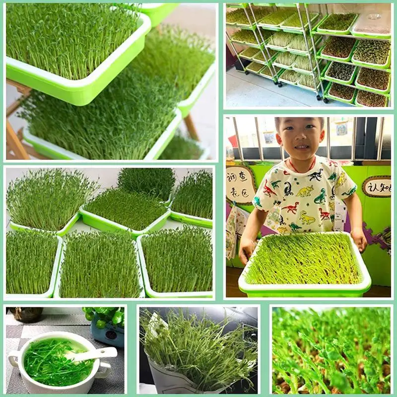Seedling Tray Shelf Soilless Culture Planting Rack DIY 3~6 Layers Seed Germination Tray Shelf Vegetable Hydroponics Rack