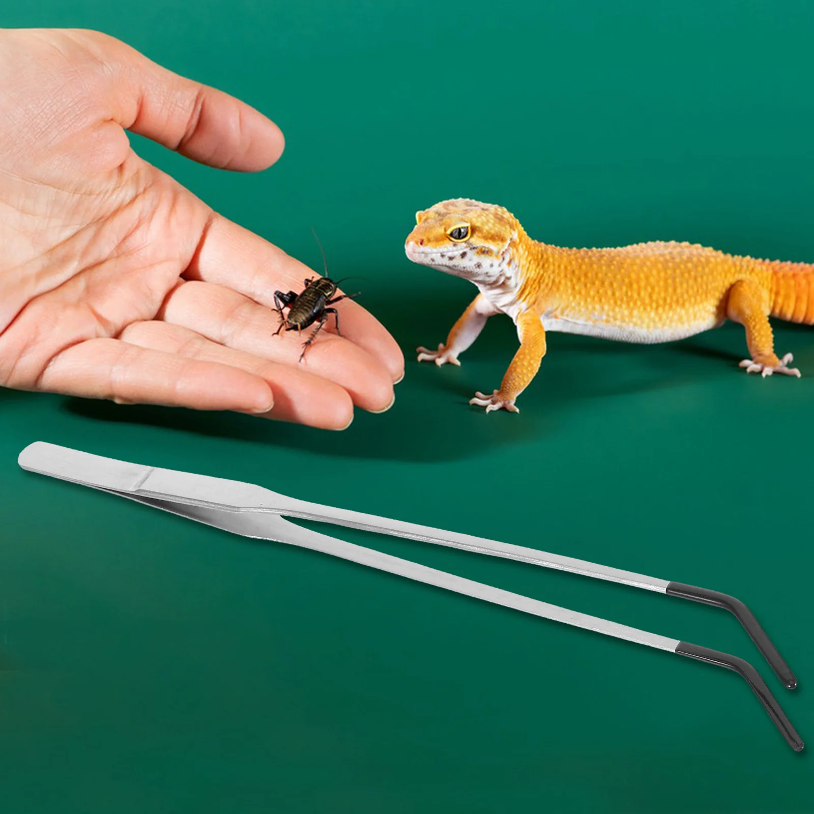 thumbnail image 2 of Cheap Stainless Steel Reptile Feeding Tongs With Rubber Tip Straight 2 of 12